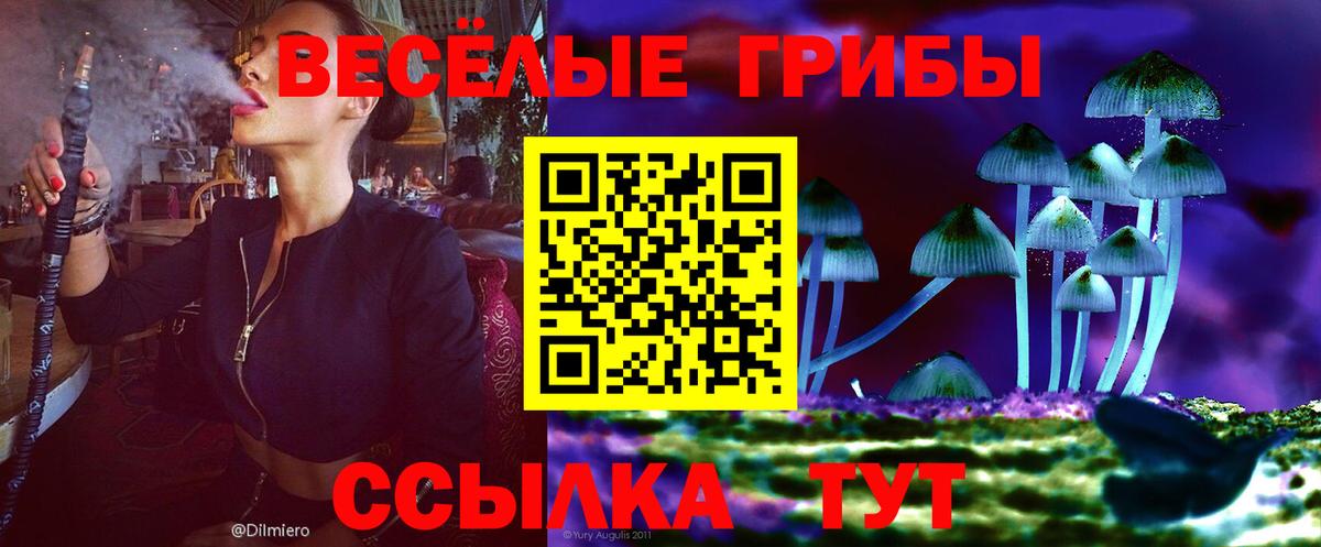 наркотики  Вход с VPN  Каменка  Галлюциногенные грибы Cubensis 